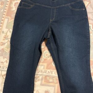 One World Denim Women’s Blue Mid Rise Skinny Jeans Size 2X